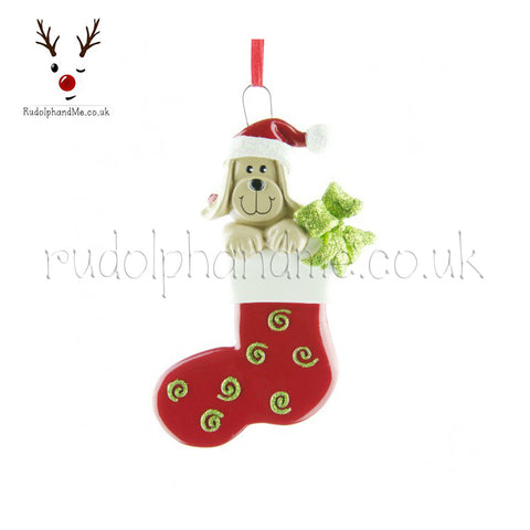 A Personalised Gift from Rudolphandme.co.uk for Dog Stocking
